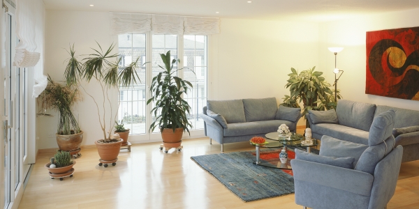 Example of a living room